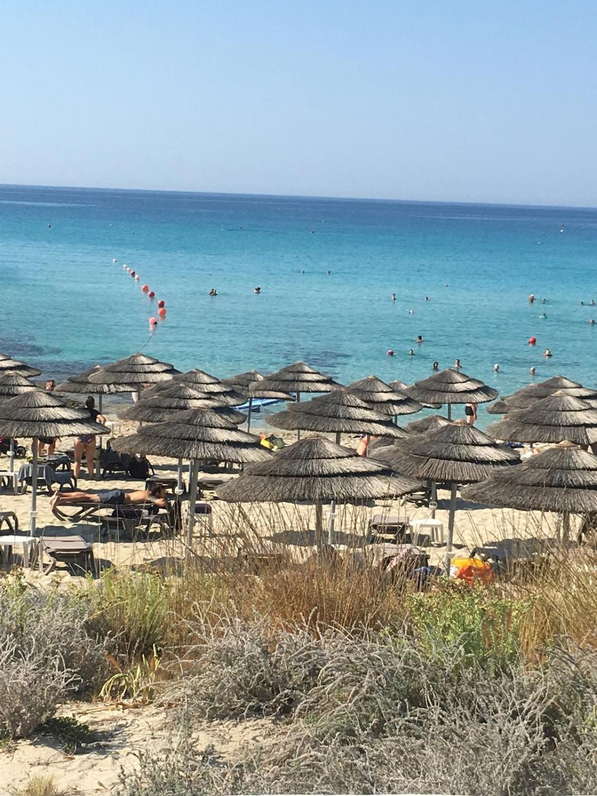 Narcissos 'nissi Beach' C5 * Ayía Nápa